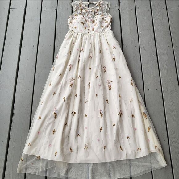 ModCloth The Simple‎ Truth Cream Pink Embroidered Tulle Maxi Dress Size L - Picture 3 of 10